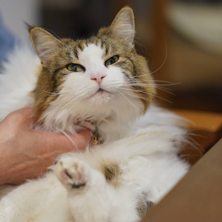 Cdb9cf85 335a 4bd2 a574 656091b1dbbb 1729600367322