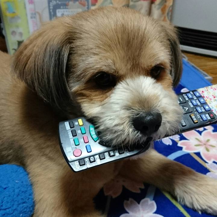 Cdb9f425 0fb7 4e09 9ba8 395d26828b00 1523106631432