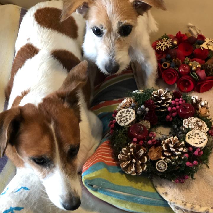 Cdba09dc 6011 4b12 a4eb eb2dd2a6c8e2 1604970735420