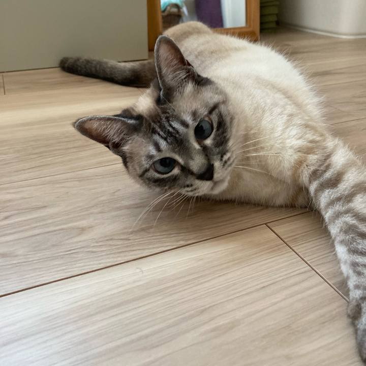 Cdba1a7b 362a 4eb9 9071 57422ce01d66 1714868627915