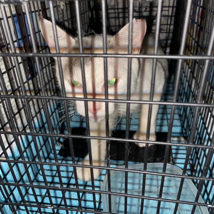 Cdba34dd b28a 40b1 8f7c b9c511e5d41d 1628772661915