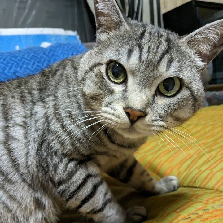 Cdba36c0 b808 431e b420 78880c784cf3 1695042556184