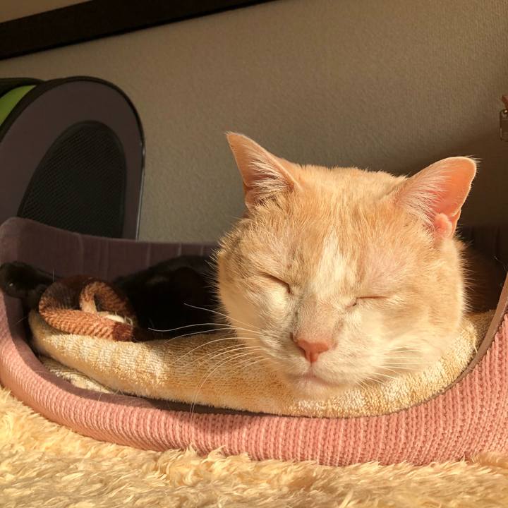 Cdba6932 18b8 410a 8236 fc6f13086501 1612741885241