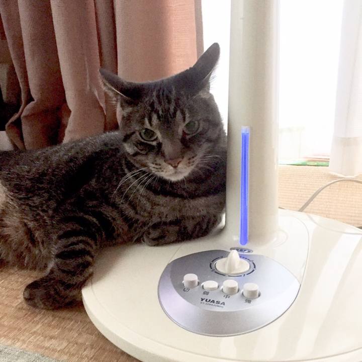 Cdba83f4 a309 4c50 ba92 76fae0e79596 1558685789746