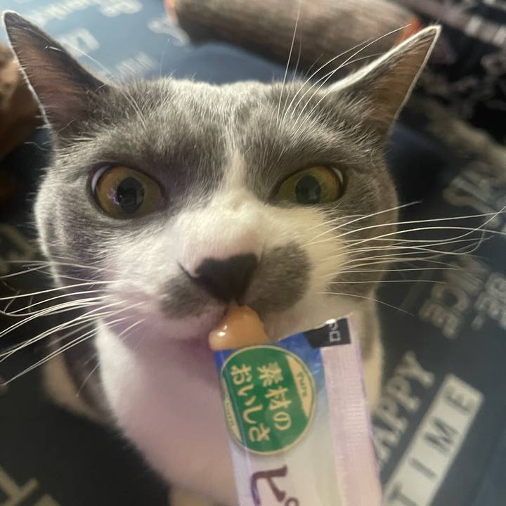 Cdbb1646 0259 46df 9e17 028b3d7b83c0 1708412671925