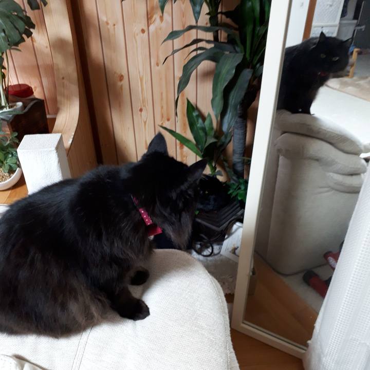 Cdbb1ce1 856d 48a7 a66f 6ceab82d2e8a 1518729269814