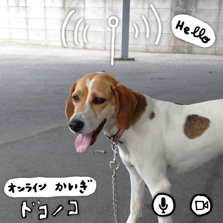 Cdbb4245 7a7d 4225 b637 969717661c54 1593139324205