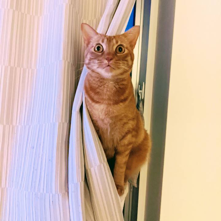 Cdbb5a6b d59f 44ae 9b62 5aa3315af9ef 1643756128596