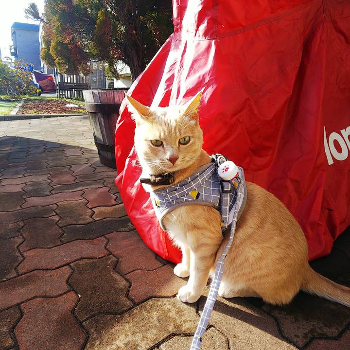 Cdbb8b00 13dc 4d6b af64 08cbbb9e384a 1638592594033