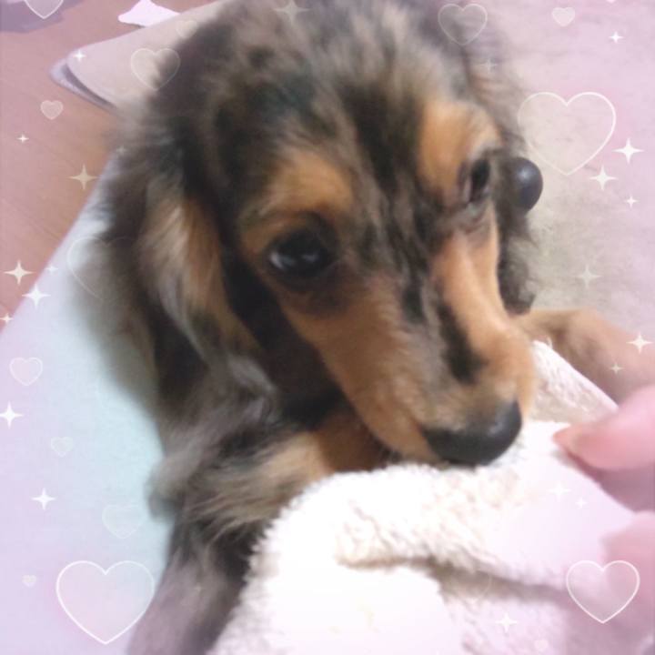 Cdbc0178 37a4 4c9f a573 fd151ef610bb 1697260765157