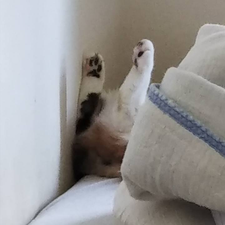 Cdbc21db 2ae0 42e8 909c e7339148c303 1660440736785