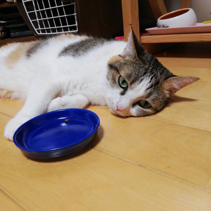 Cdbc3b4b 78dd 4935 ac63 7d8090b77330 1623584755605