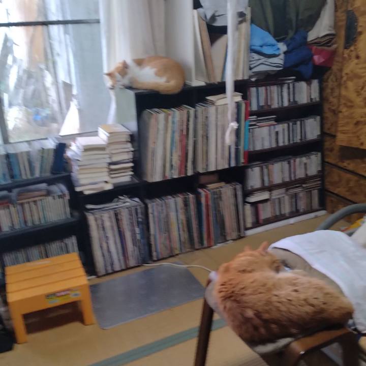 Cdbc6116 29ab 481e af7b 79696fff20cd 1752574180264