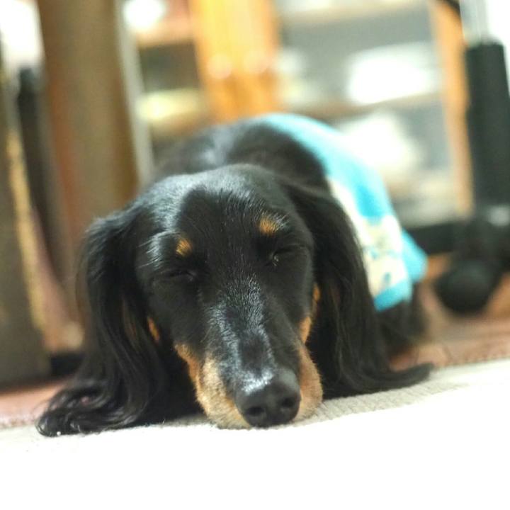 Cdbc6458 a9ea 489c a623 22554368f02b 1560257473000