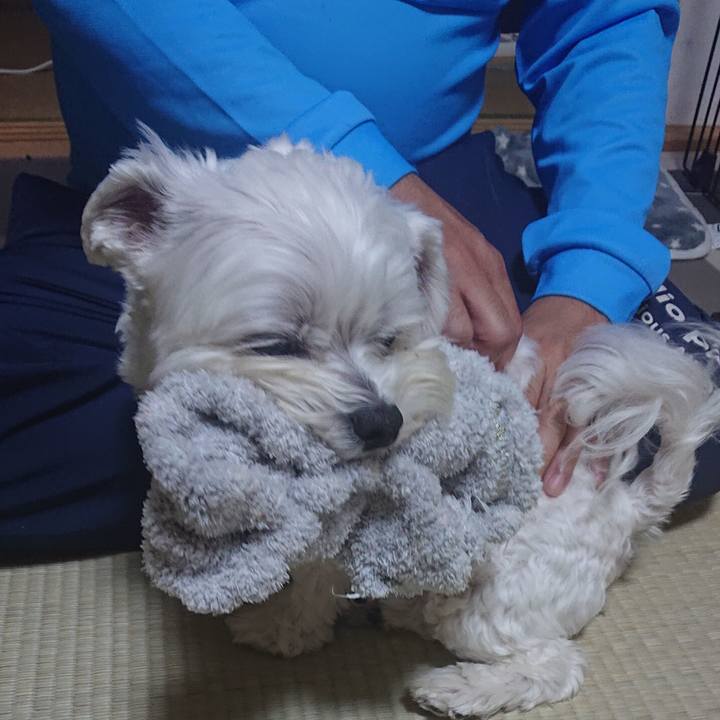 Cdbc65cc 50e5 4fbd a010 83c66e6715ef 1668607497437