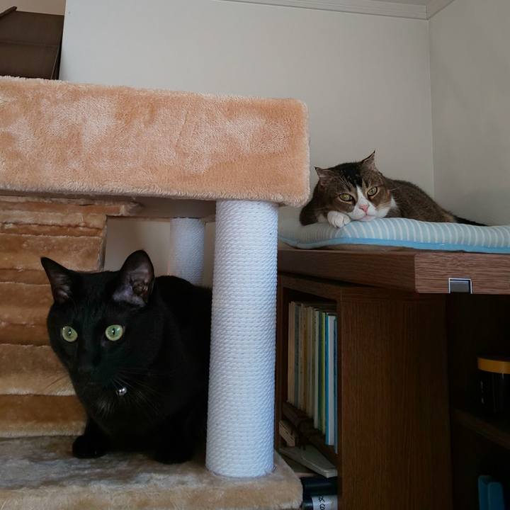 Cdbc7c0a 2025 4906 aeaa c280ddda4ec8 1571700043283