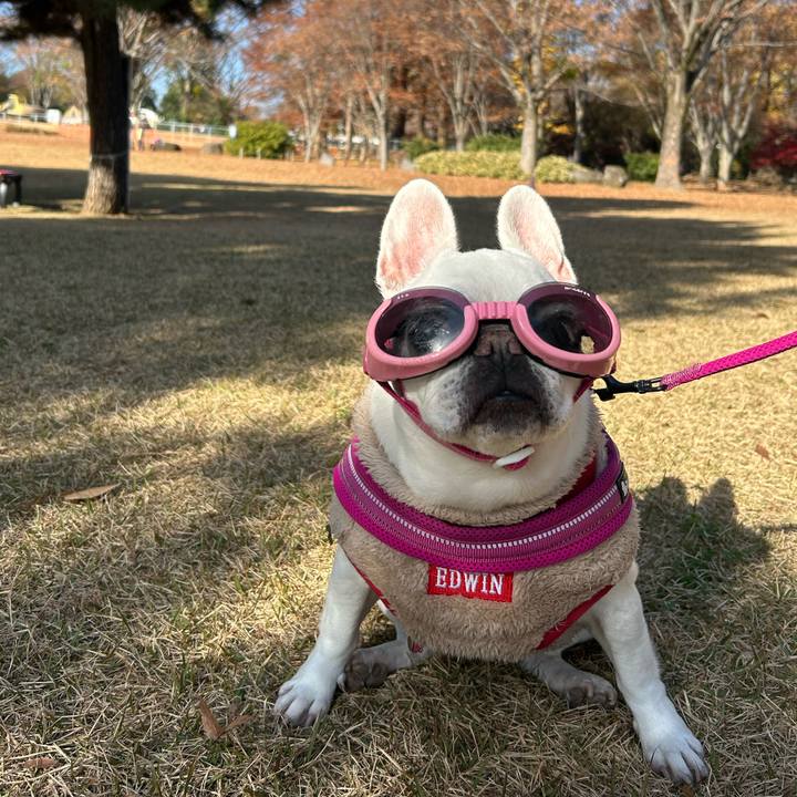 Cdbca3a0 14d8 45a9 ba0a fa1d8926f970 1764474614507