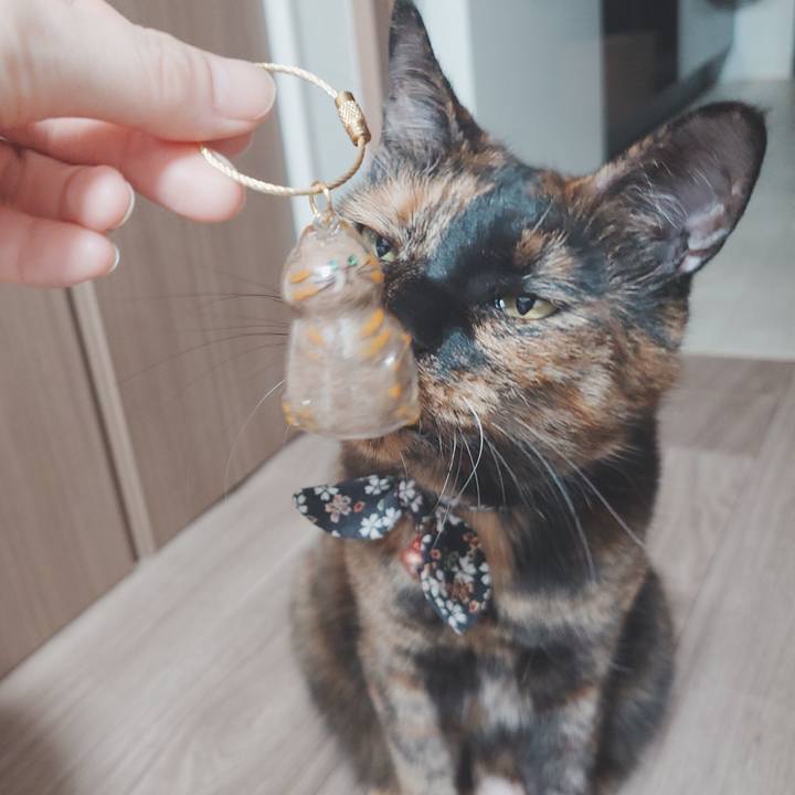 Cdbcb8c9 6021 46b5 8a83 3542eb9d817b 1759496425962