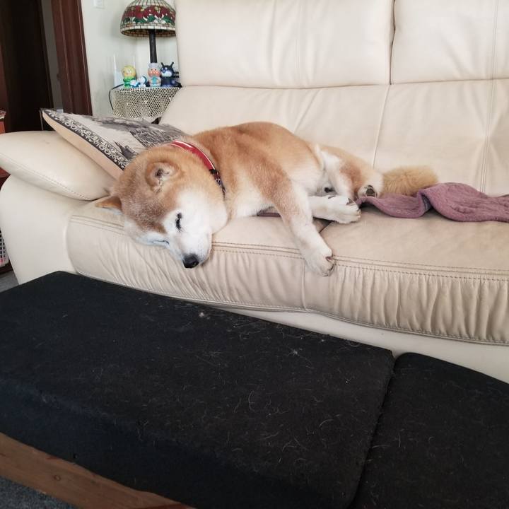 Cdbcfec5 cfc5 42df 8d35 1d0694e3f614 1740889973244