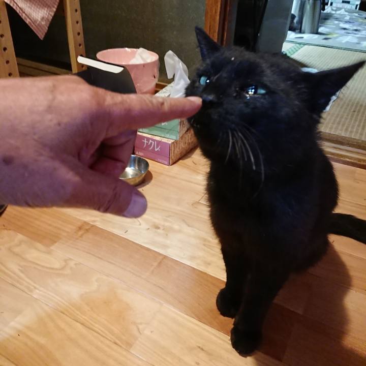 Cdbd0cdd 3528 48fd ab5b d9ec50d18d3f 1623497004122