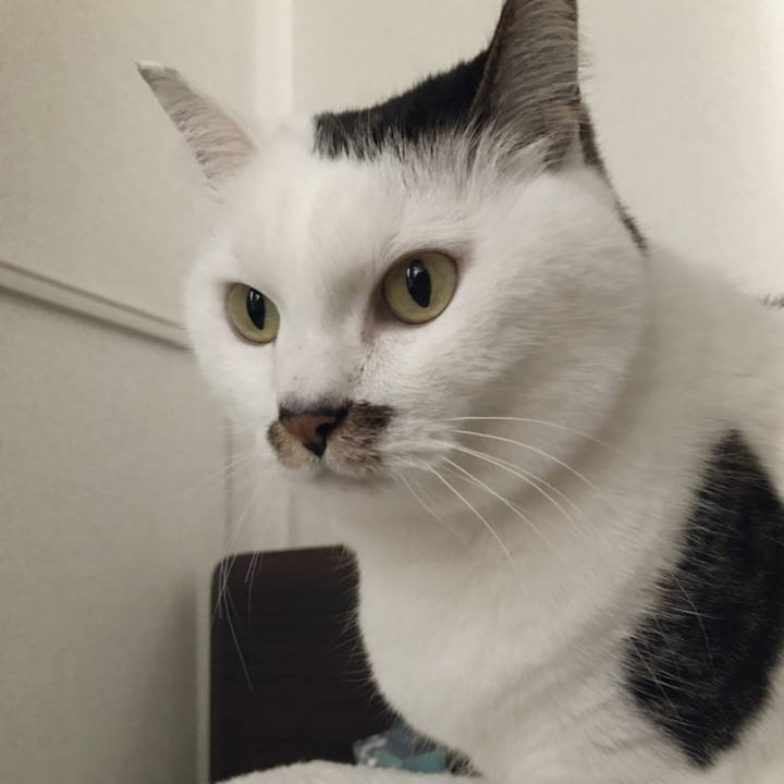 Cdbd2be6 8077 4213 994e b953073263f9 1553500718152