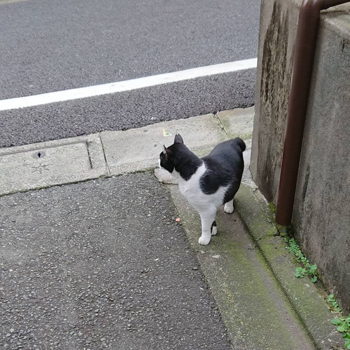 Cdbdb2e9 247d 4a90 8ed4 03c3436b41f4 1543912463691