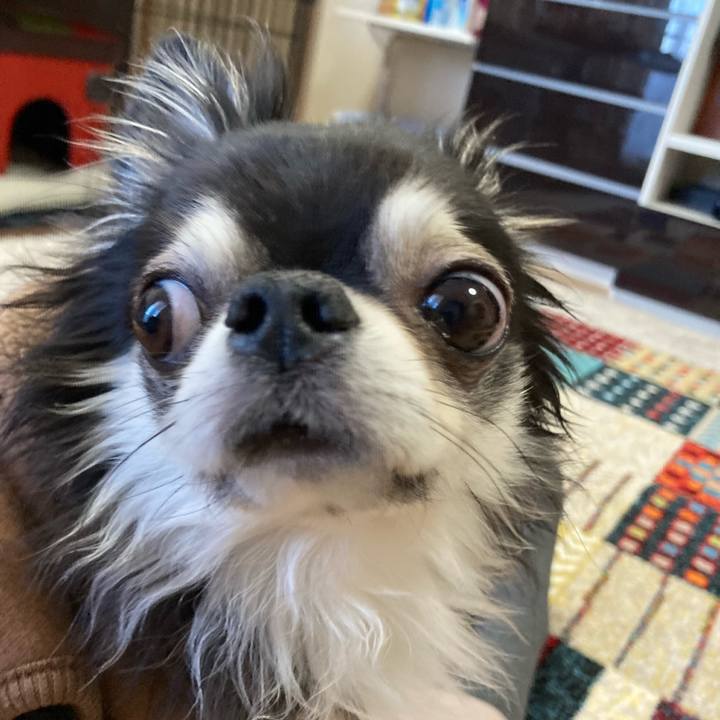 Cdbde4eb c49a 421a 8ccf 4ed9bcdcc953 1703330230566