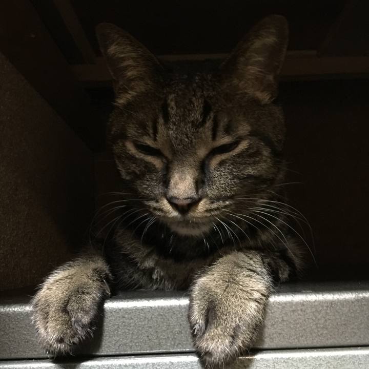 Cdbe0c2e 2e55 4641 8aaf e6118507054c 1533377524500