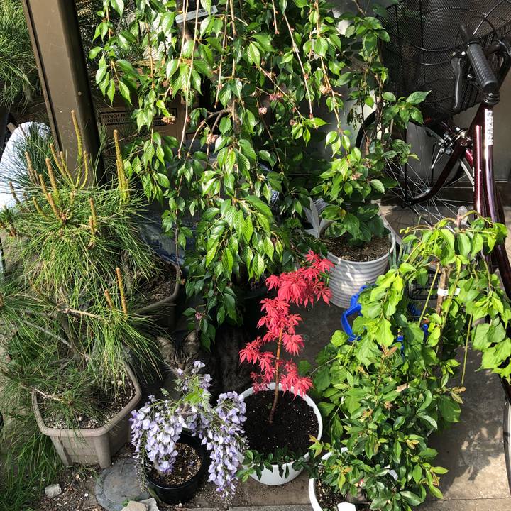 Cdbe20f9 200a 4592 9daf 18b55dba40df 1523618048991