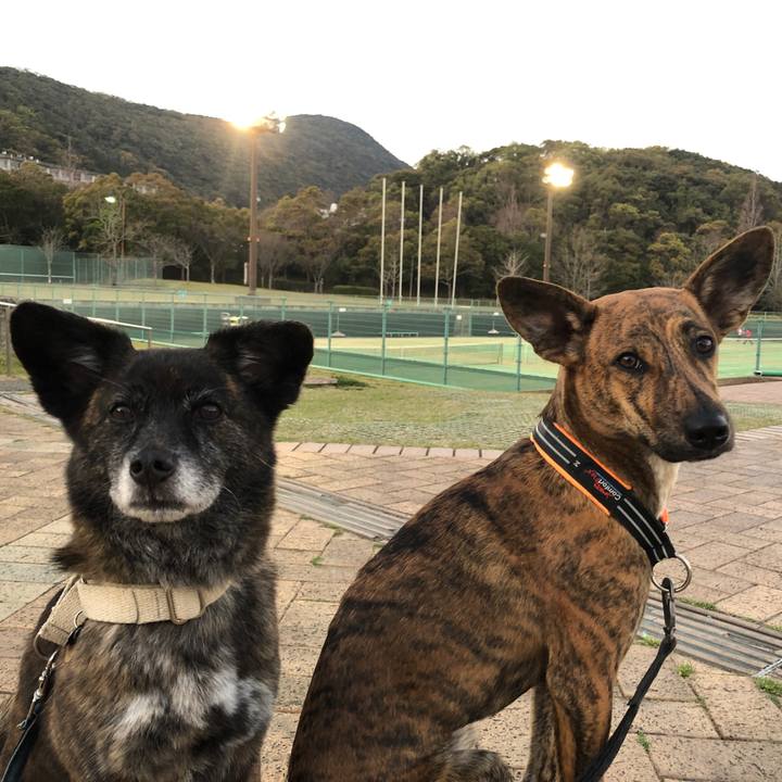 Cdbe3ed2 06bc 4c4e a5c7 da0368293113 1585047057344