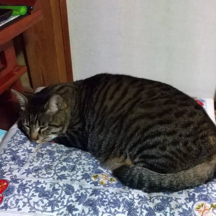 Cdbe9cfc d356 48ba a772 4ca15191f4ac 1652996275559