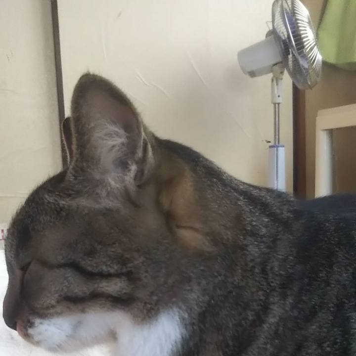 Cdbea226 8140 4540 aa4b 3383f6916e7d 1627074451590