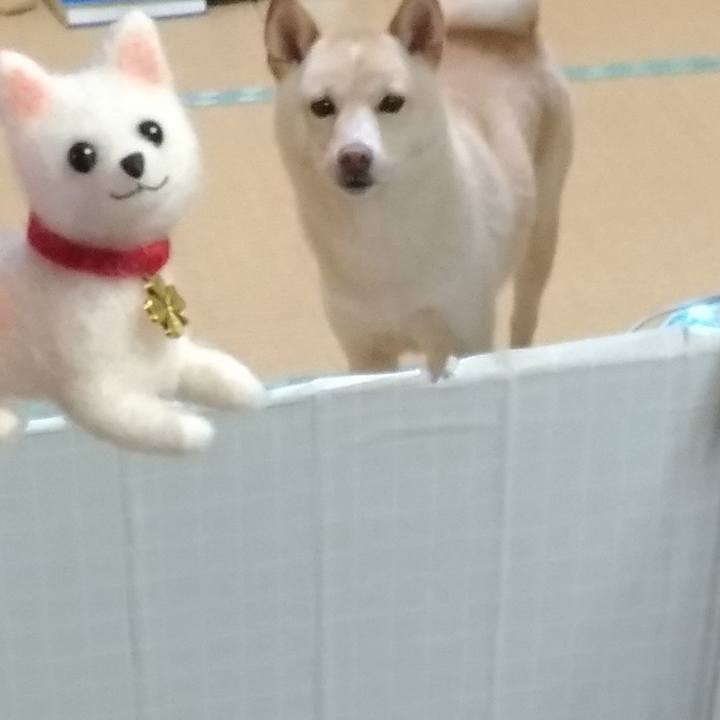 Cdbebb2d ed3a 4286 b733 d3362b5d2187 1527333349958