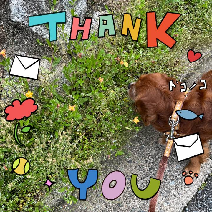 Cdbf0980 50ec 4a46 b02d 81795e55a34f 1714951729928