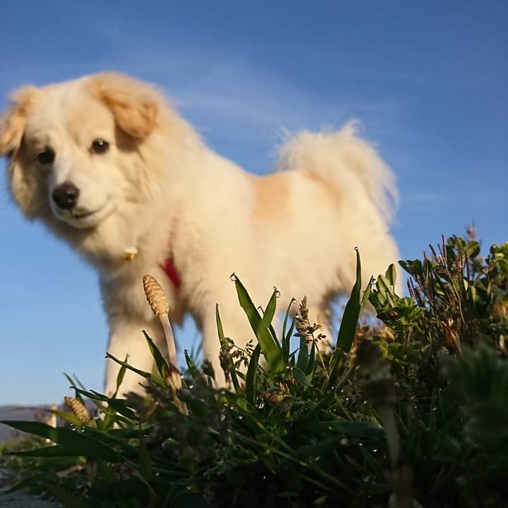 Cdbf1ac6 e677 48d0 b0bd 372a4dfc0ea6 1522131380502