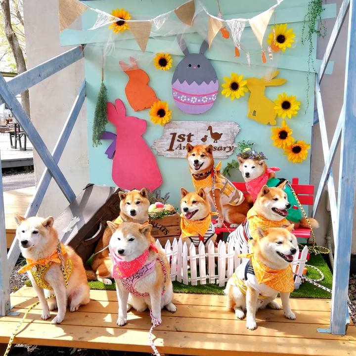 Cdbf2e53 f52d 48a0 a4a5 d241089fd71f 1650110691986