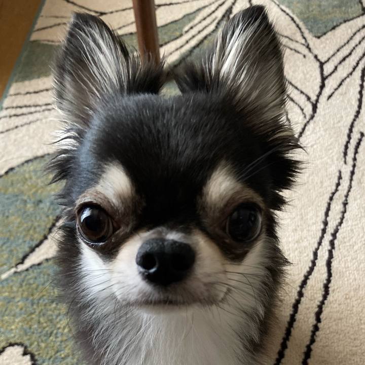 Cdbf3334 8439 4116 b218 476a28903b9b 1628285535297