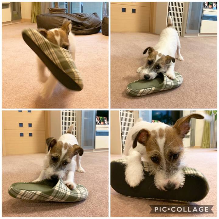 Cdbf5ded eb70 4298 8190 e19545b52c3f 1563792475405