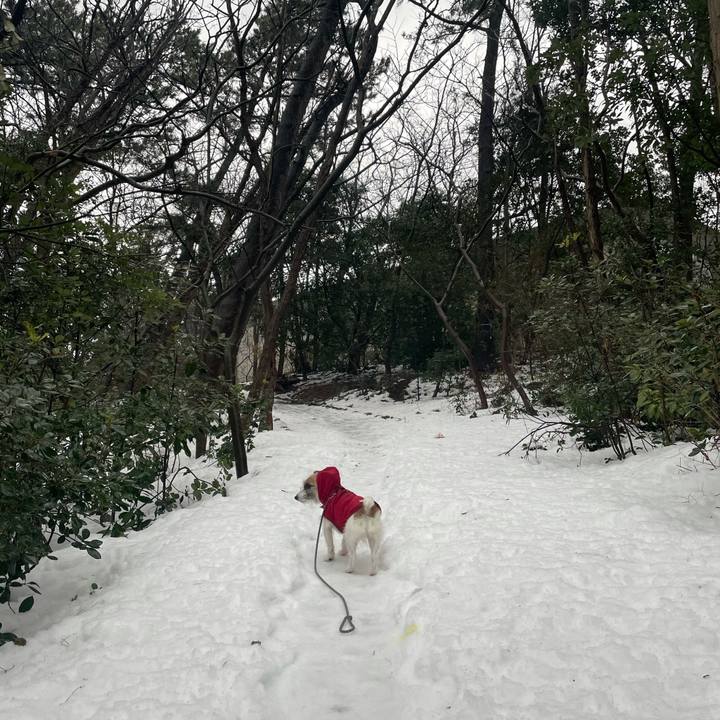 Cdbf7393 a054 44d9 821f 042183a5ddd0 1611270016460