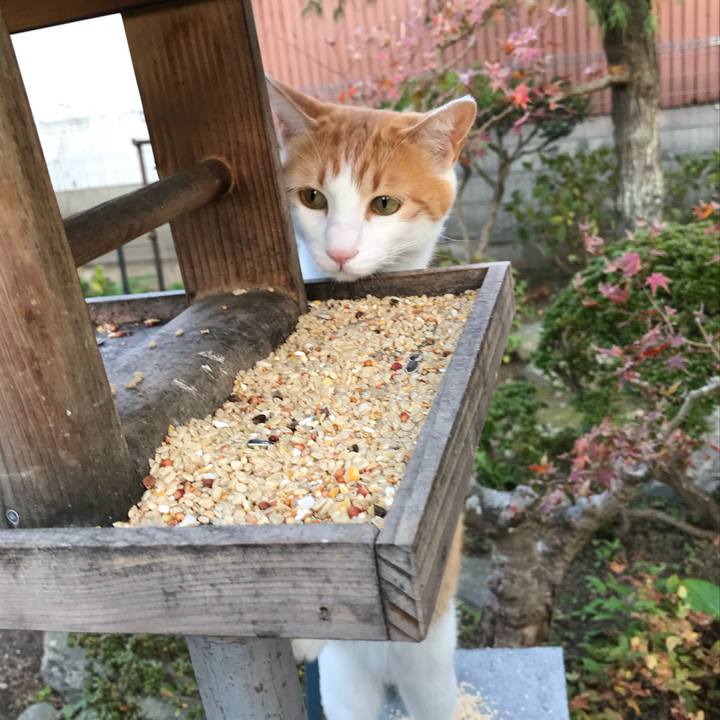 Cdbf7ae4 3872 46f5 a569 a35c19aa9baf 1509605594224