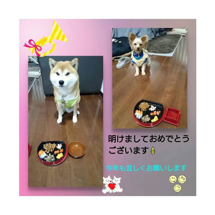 Cdbf7c89 83ec 4328 bd45 7a5eea3a111d 1514877999208