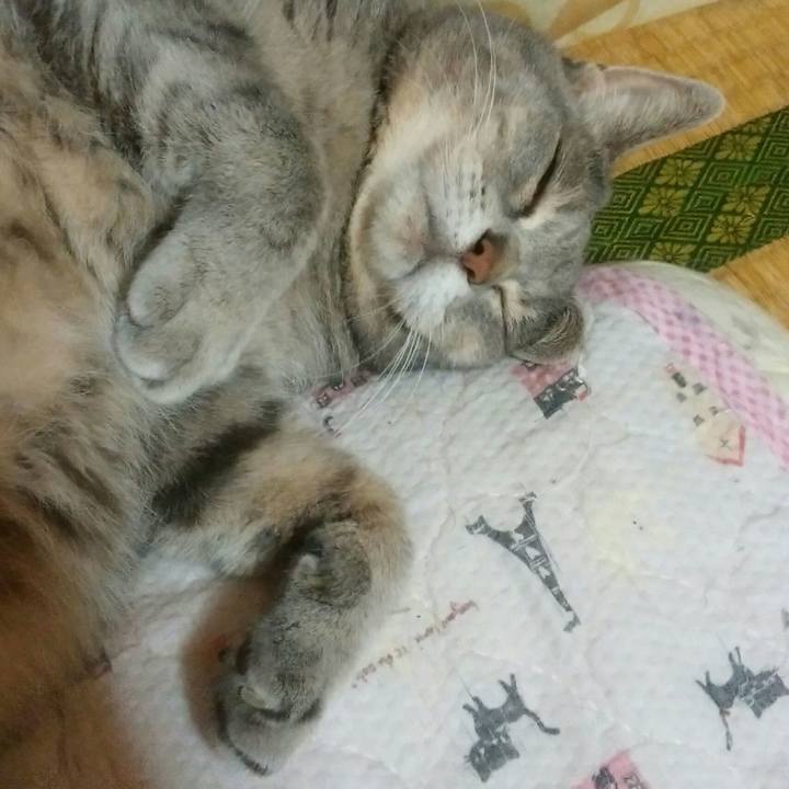 Cdbfad35 64c5 48db bf8a c9cebe213a54 1563793630208