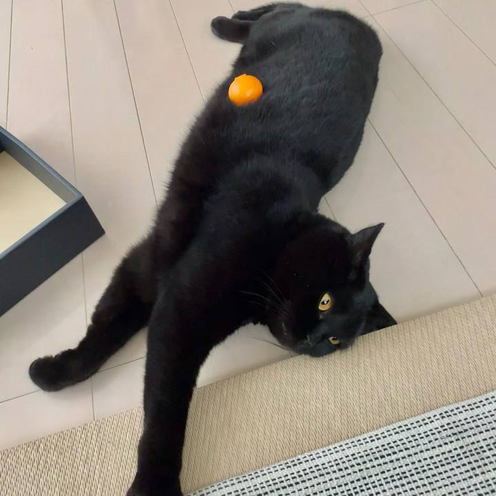 Cdbff664 a4e9 48f5 a6bf b7db01ecc42b 1641881125924