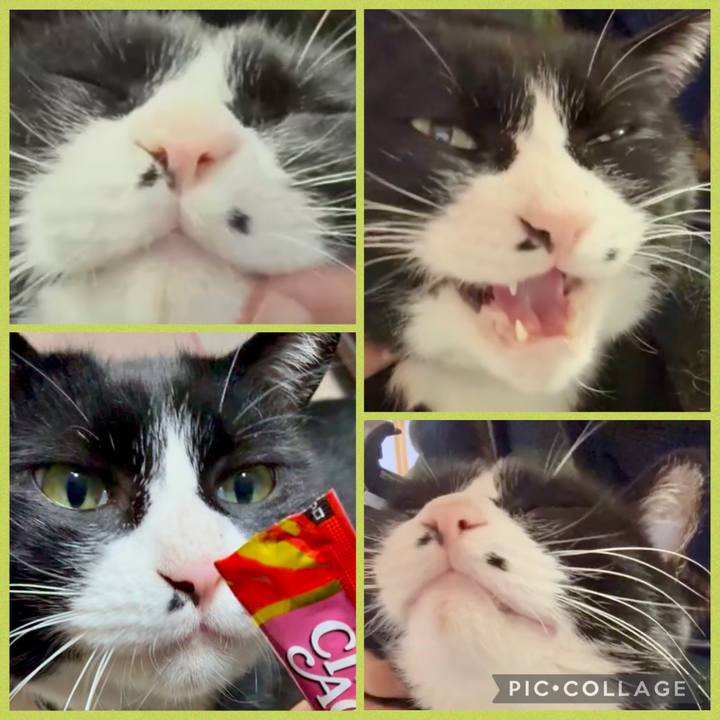 Cdc014aa ac44 4c31 8dd2 2576279a015c 1773840623065