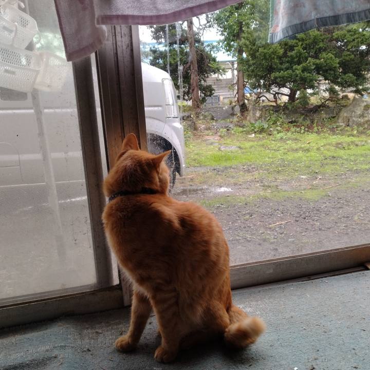 Cdc03dd9 fe4f 4e0e 957d dd0265e51277 1665114663110