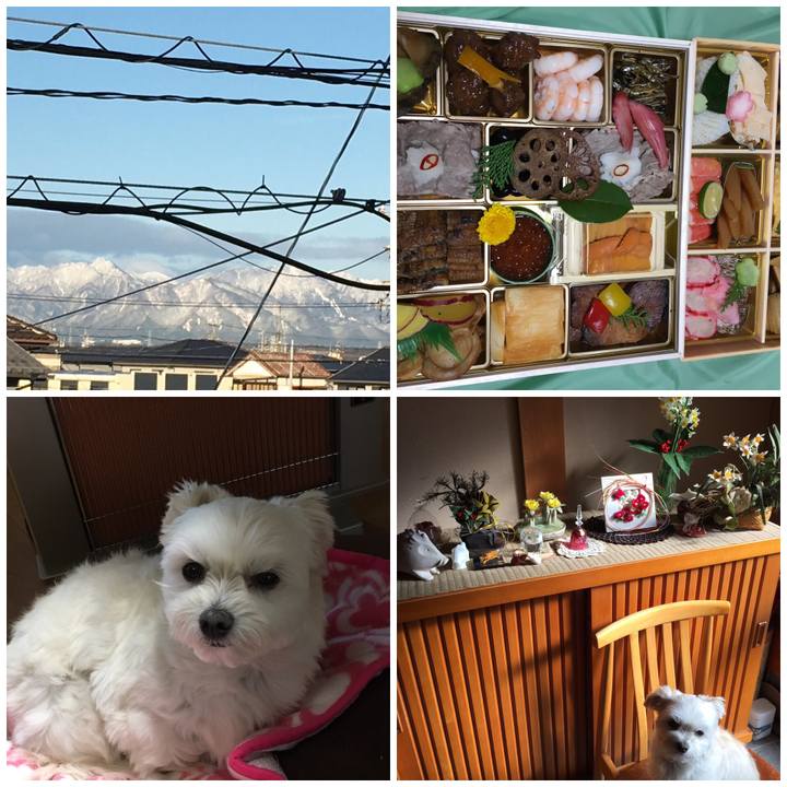 Cdc059dd 7088 423a 8313 bee799197159 1546230922510