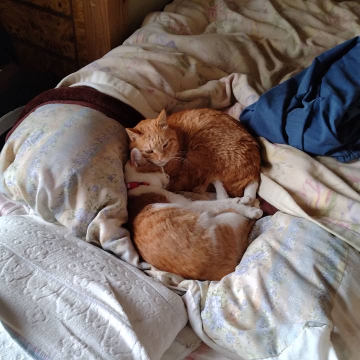 Cdc05e6e 7f3d 4d72 9347 d2e6d6d6b251 1740645351455