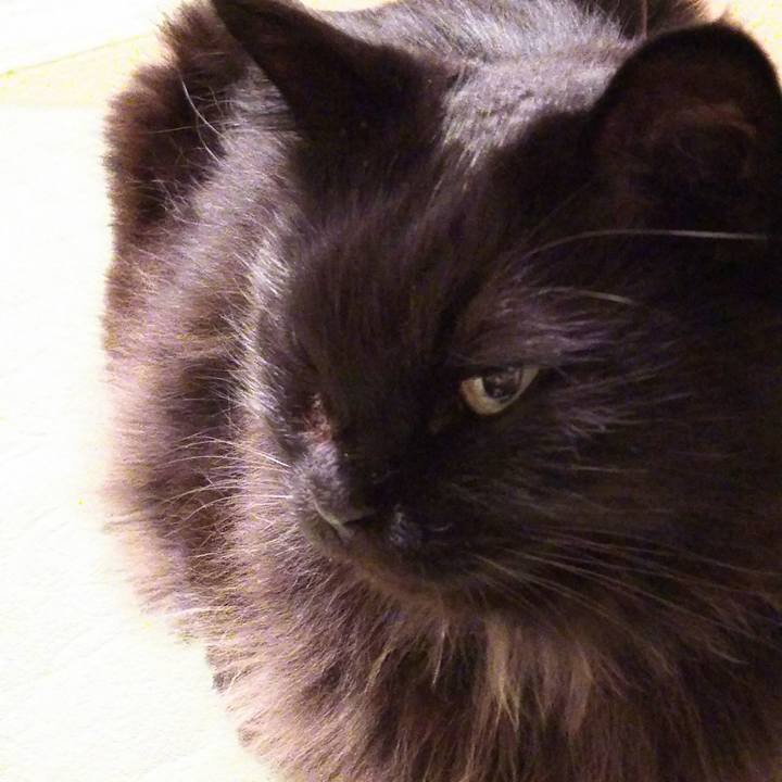 Cdc08897 b875 47cd bcd3 14b7e3de8b17 1511600683747