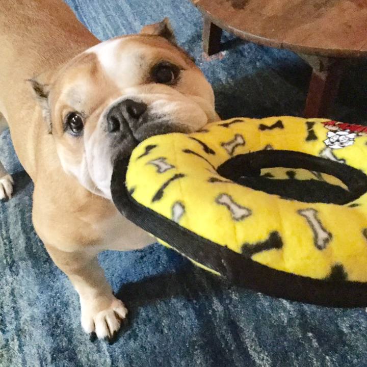 Cdc08ee8 4b63 432e bf6f 5989c557e024 1531782327893