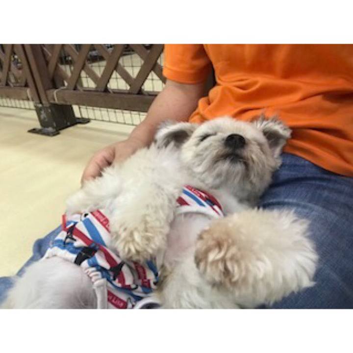 Cdc09221 fcc5 4120 bbe4 0a0d21ae6ce0 1537267133153